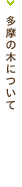 多摩の木について
